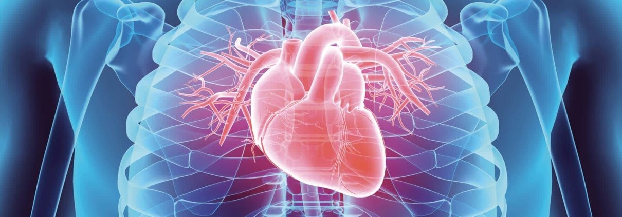 Heart Disease